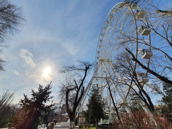 Левбердон Ростов-на-Дону весной