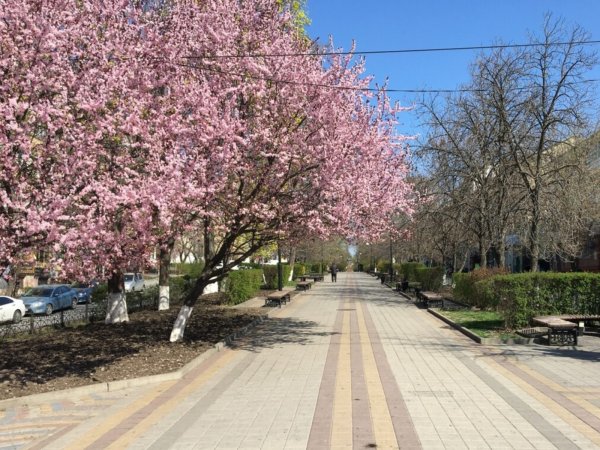 Набережная Анапы весной