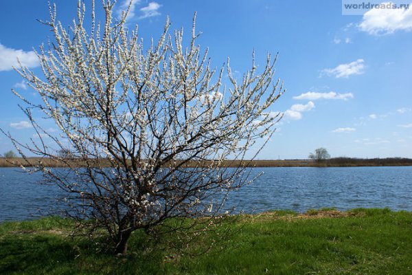 Весна в Ростове на Дону 2021