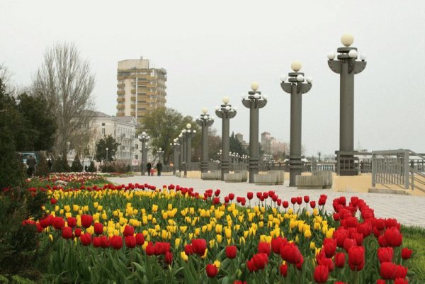 Ростов на Дону Весна