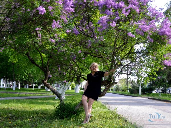 Аллея роз Ростов на Дону