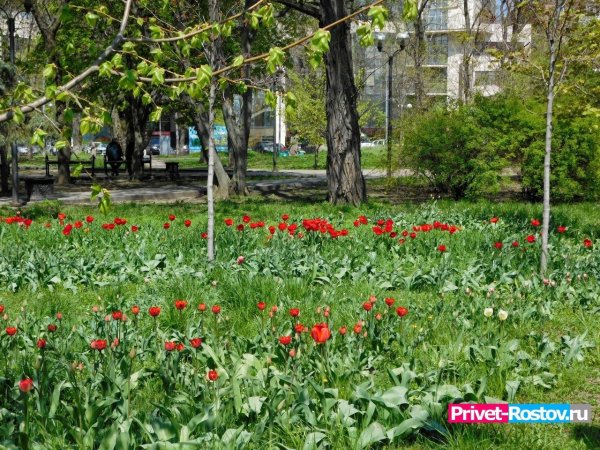 Правый берег Ростов-на-Дону набережная