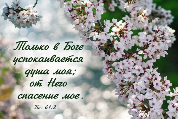 Христианские пожелания с добрым утром весенние