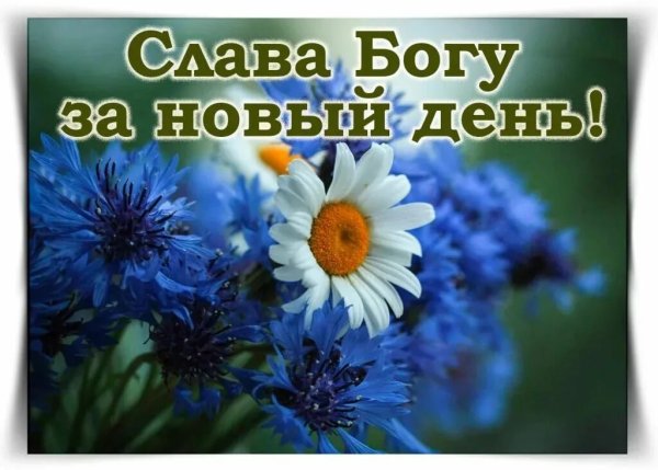 Доброе утро благословенного дня