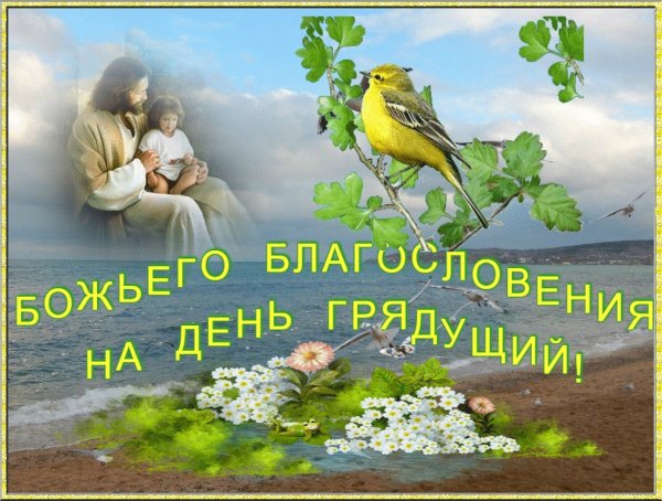 Доброе дождливое утро