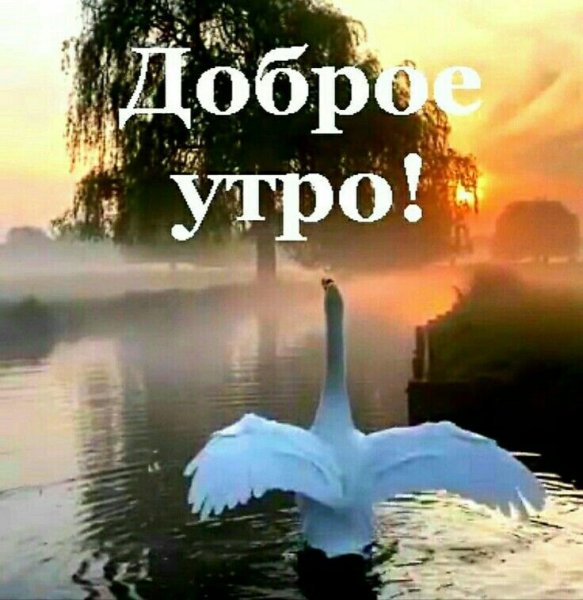 Весеннее настроение