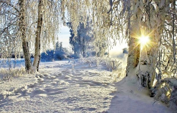 Открытка «Весна»