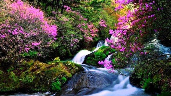 Водопад горы цветы