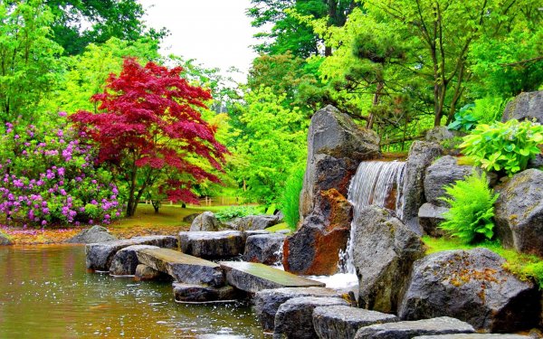 Национальный заповедник Гиффорд Пинчот, Вашингтон, США