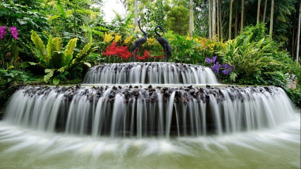 Водопад с рыбками