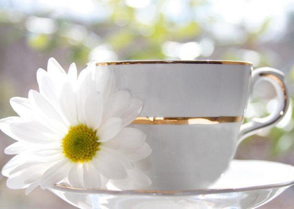 Доброе утро мама