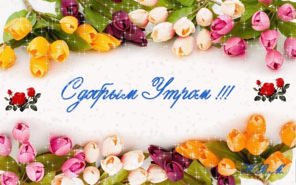 Креативные пожелания с добрым утром