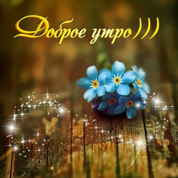 Радостного утра