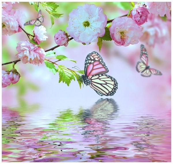 Красивые летние цветочки