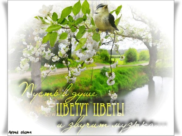 Пусть в душе цветет Весна