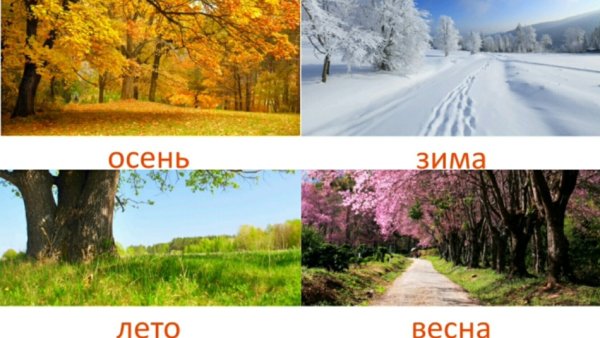 Времена года зима Весна лето осень