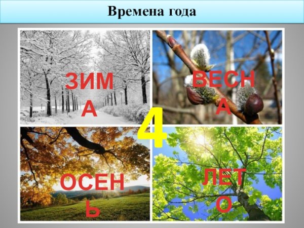 Времена года презентация