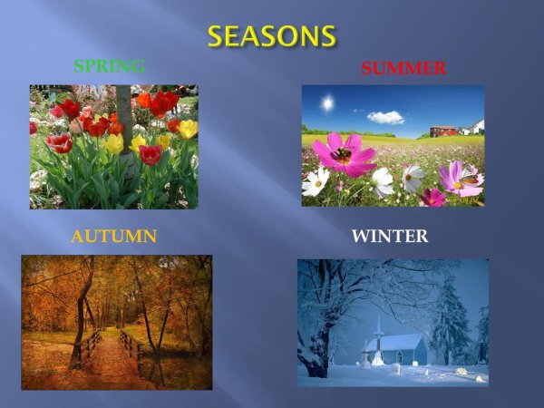Seasons and weather презентация