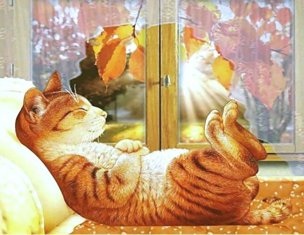 Доброе осеннее утро с рыжим котом