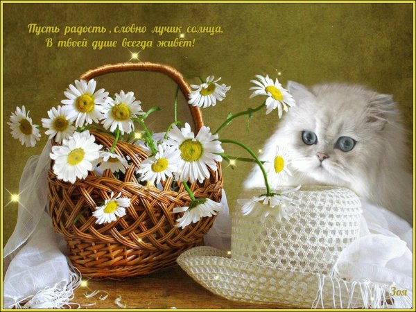 Душевного тепла и хорошего настроения