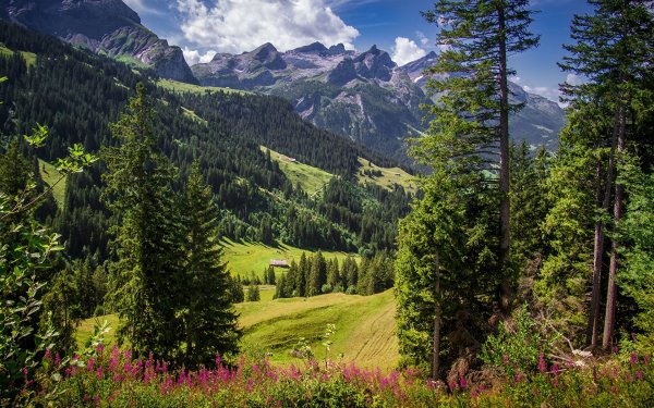 Замок тун Швейцария