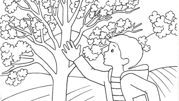 Раскраска природа