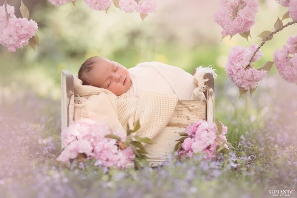 Новорожденный на природе