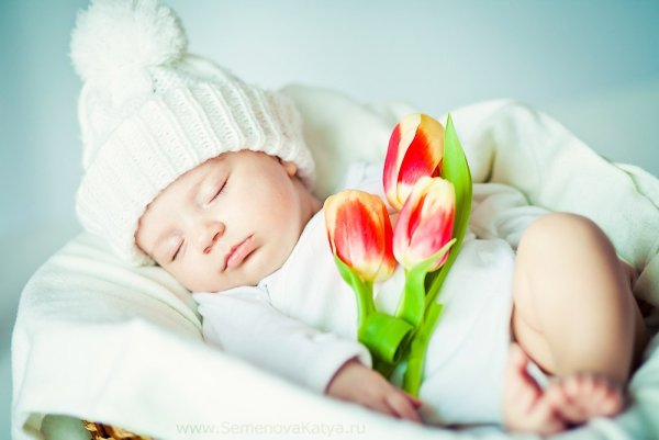 Новорожденный Весна