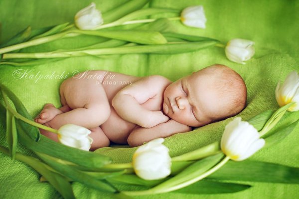 Новорожденный и цветы