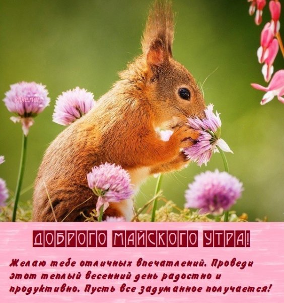 Последний день апреля