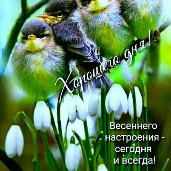 Хорошего настроения в любую погоду