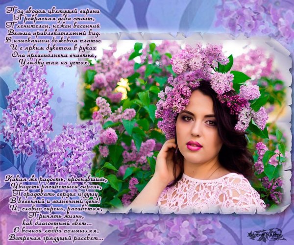 Красивое стихотворение про сирень