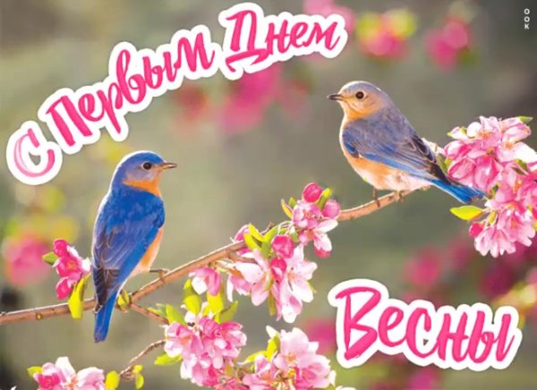 Поздравление с первым днем весны