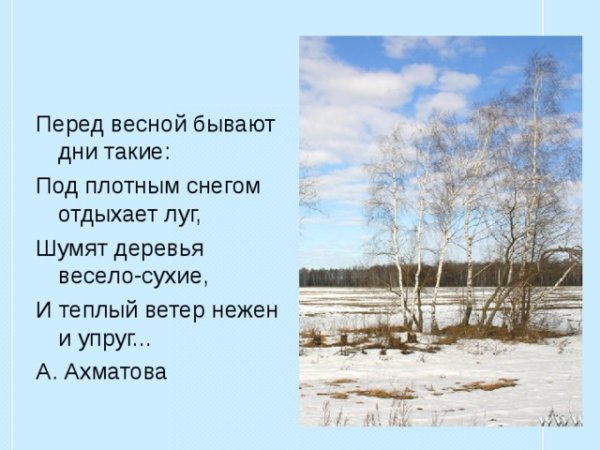 Перед весной бывают дни такие Ахматова