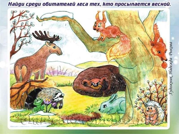 Звери просыпаются весной