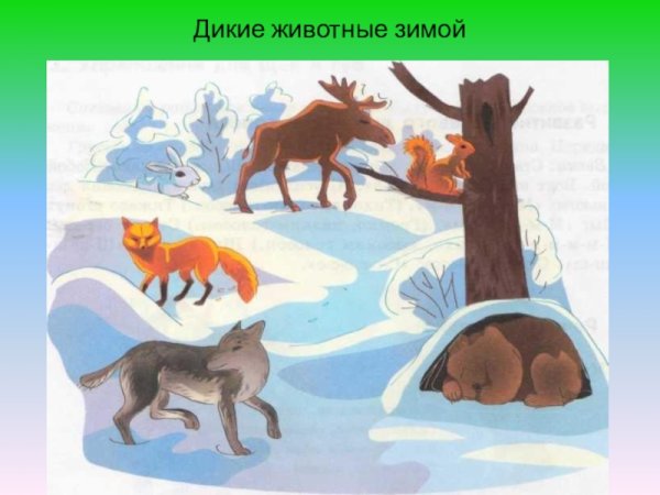 Животные зимой для детей