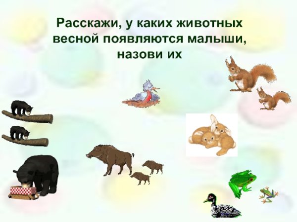 Животные весной задания для детей