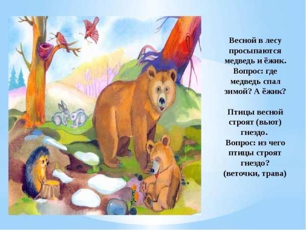 Медведи весной картина
