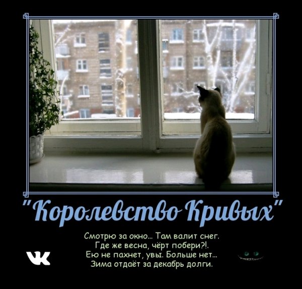 Дождливый день стихи