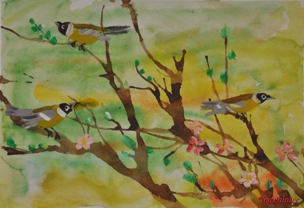 Иллюстрации перелетных птиц