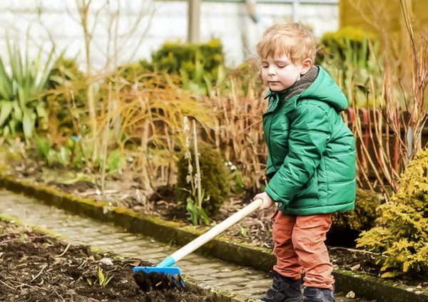 Уборка в саду весной