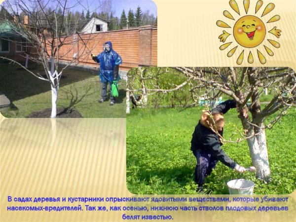 Занятия людей весной