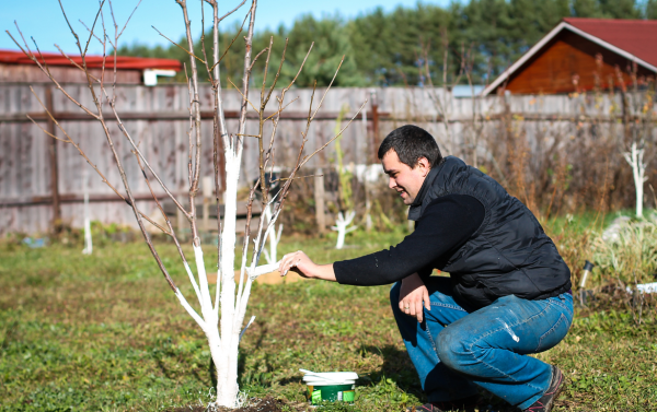 Труд людей весной в огороде