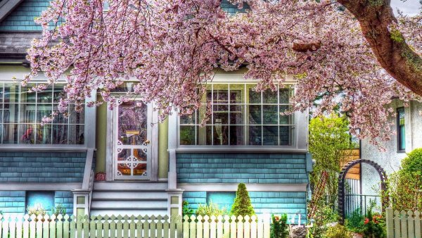 Вишневый сад имение