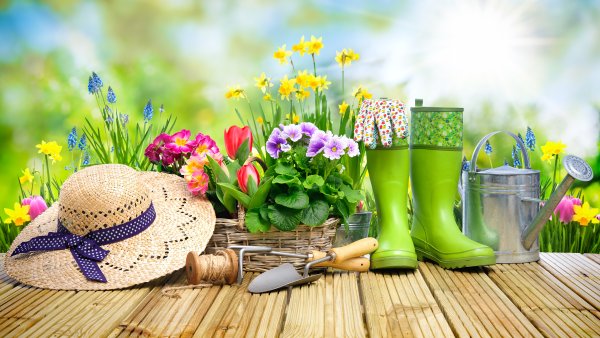 Лавочка в лесу