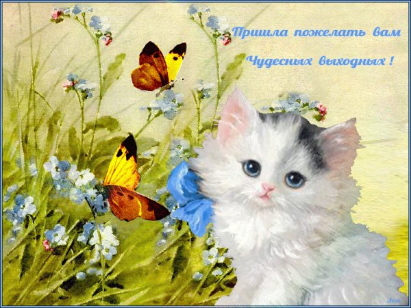 Открытки на каждый день