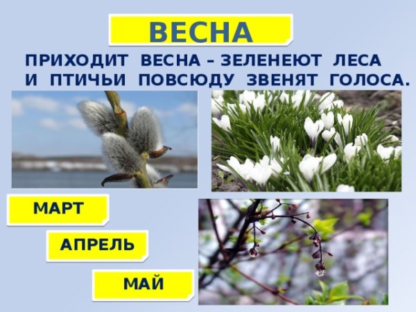 Весенние месяцы