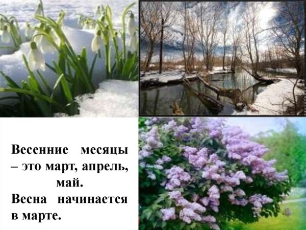 Папка передвижка Весна