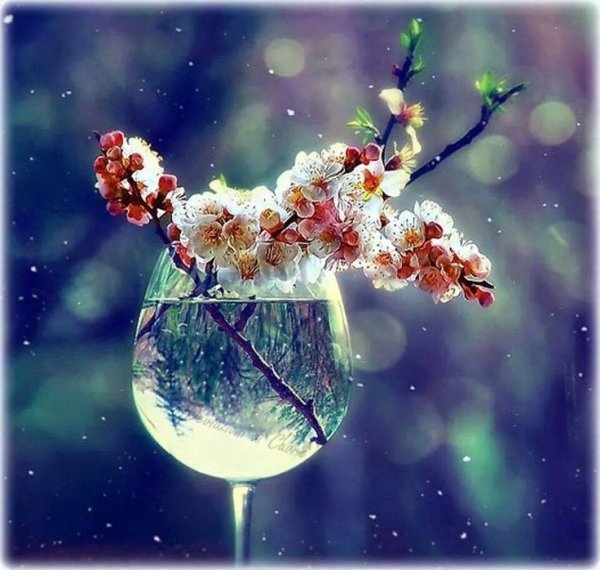 Аватар Весна