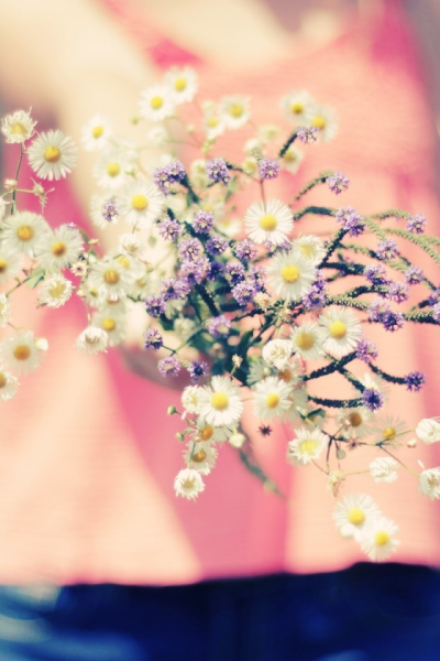 Яркие нежные цветы